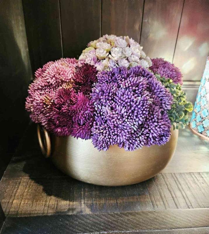 Review Thumbnail Image 0 244242769