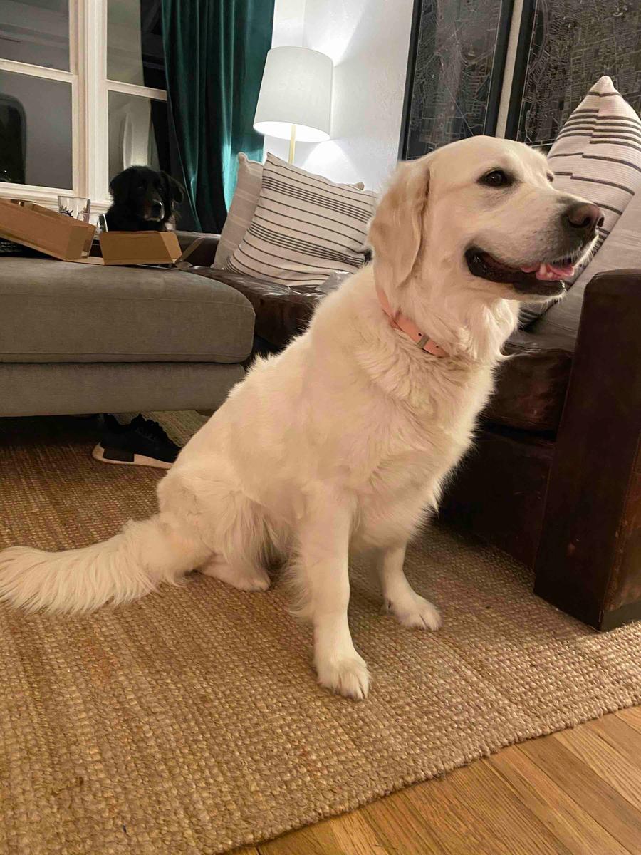 Review Thumbnail Image 2 194990359