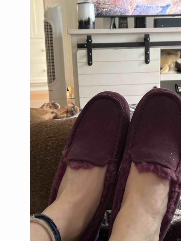 Review Thumbnail Image 0 222073577