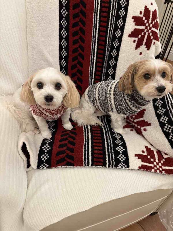 Review Thumbnail Image 2 247232063