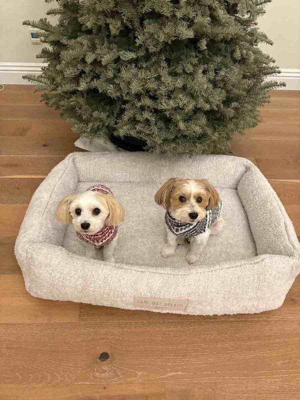 Review Thumbnail Image 4 247232063