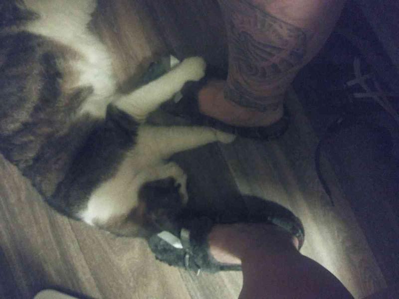 Review Thumbnail Image 0 219562157