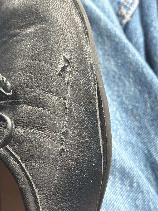 Review Thumbnail Image 0 246637678