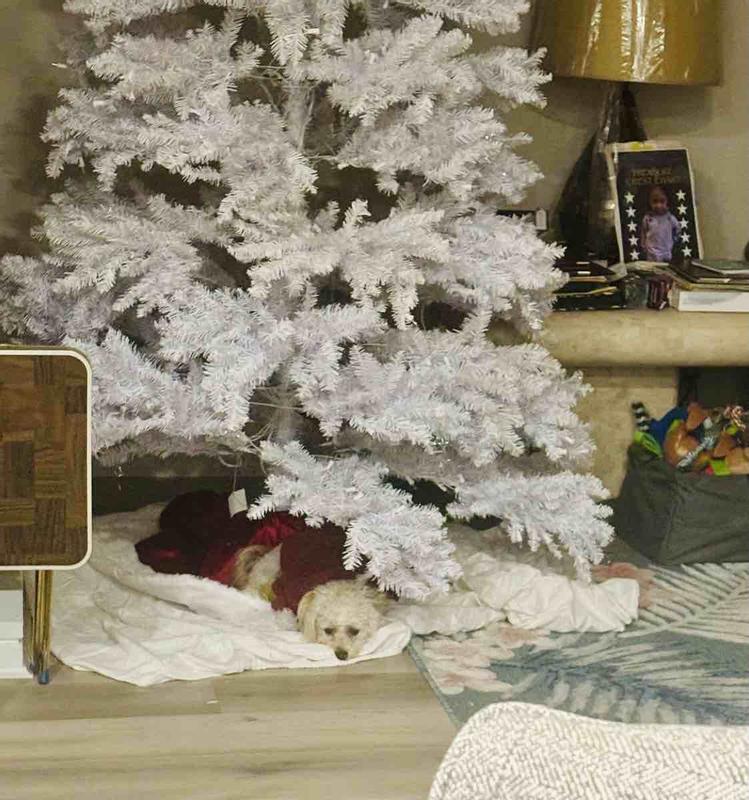 Review Thumbnail Image 0 237624518