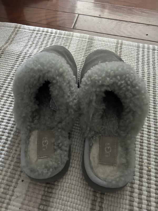 Fur falling out - 5 months old