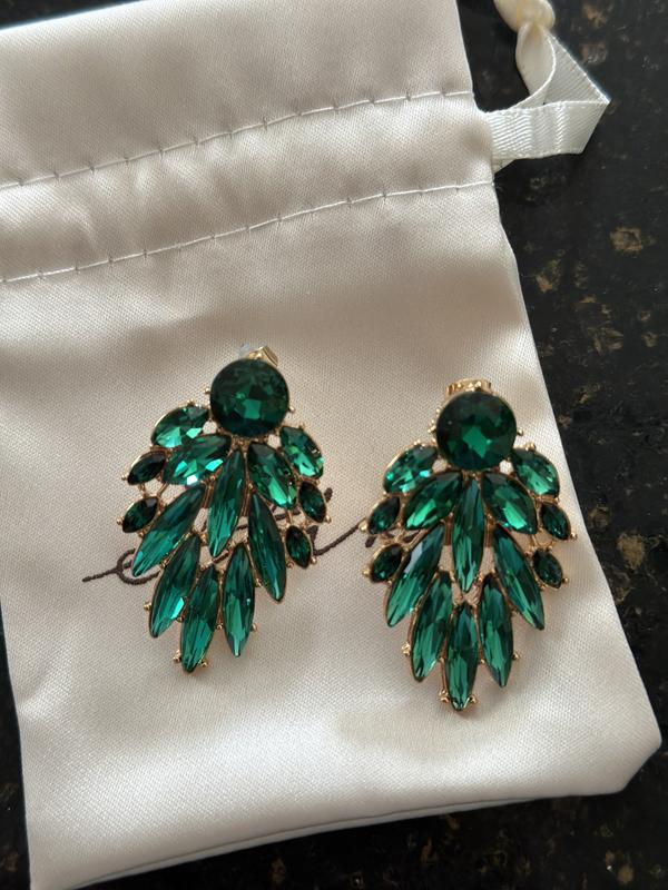 Customer photo for "Stunning earrings!"