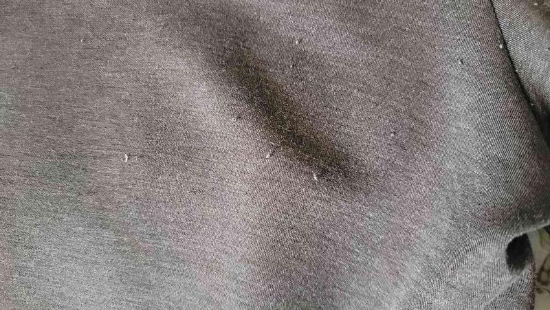 Review Thumbnail Image 1 246134350