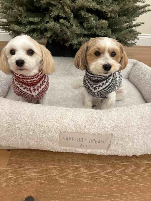 Review Thumbnail Image 1 247231812