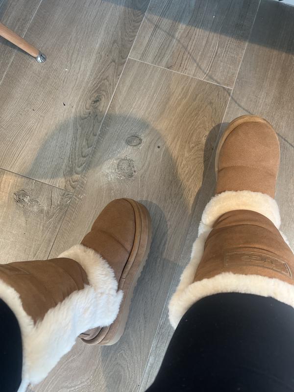 Review Thumbnail Image 0 231124671