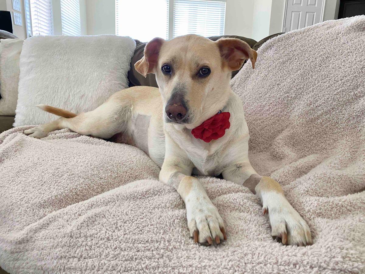 Review Thumbnail Image 1 199584787