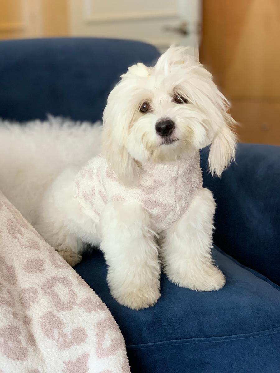 Review Thumbnail Image 0 199521109