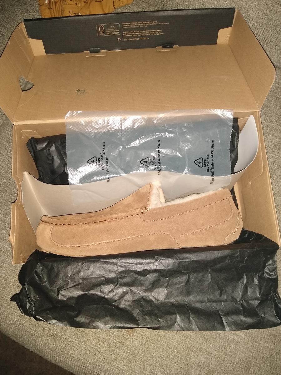 Men's Ugg Ascot/Chestnut Suede