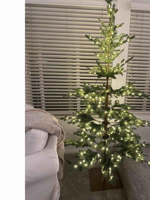 Review Thumbnail Image 1 229574400