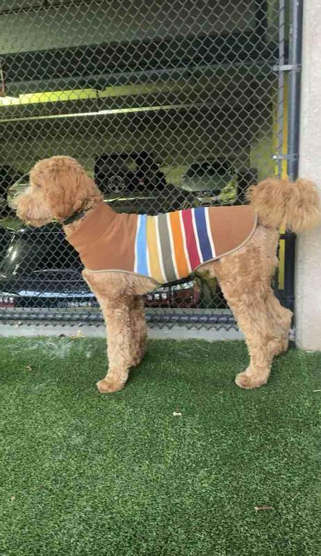 Review Thumbnail Image 1 246535033