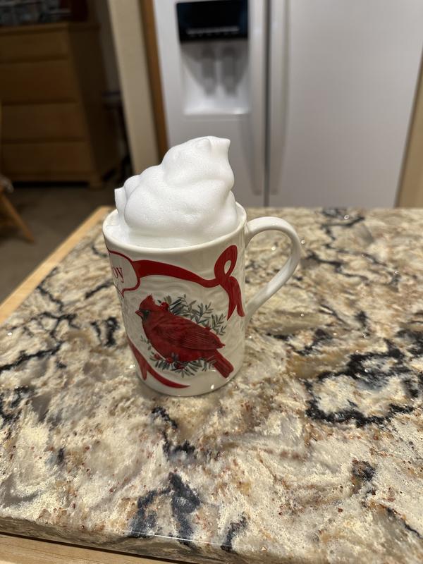 Customer photo for "The best milk frother!"
