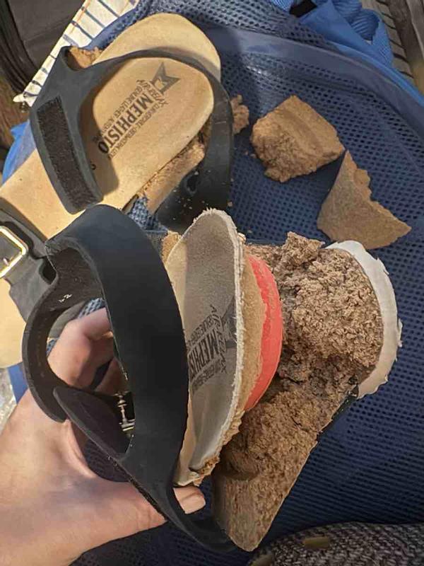 Review Thumbnail Image 3 244319592