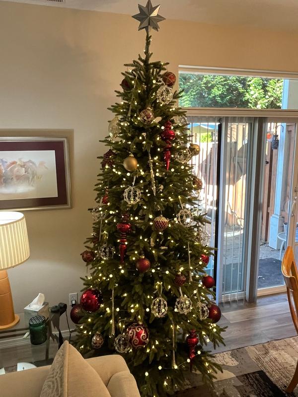 Review Thumbnail Image 1 229893960