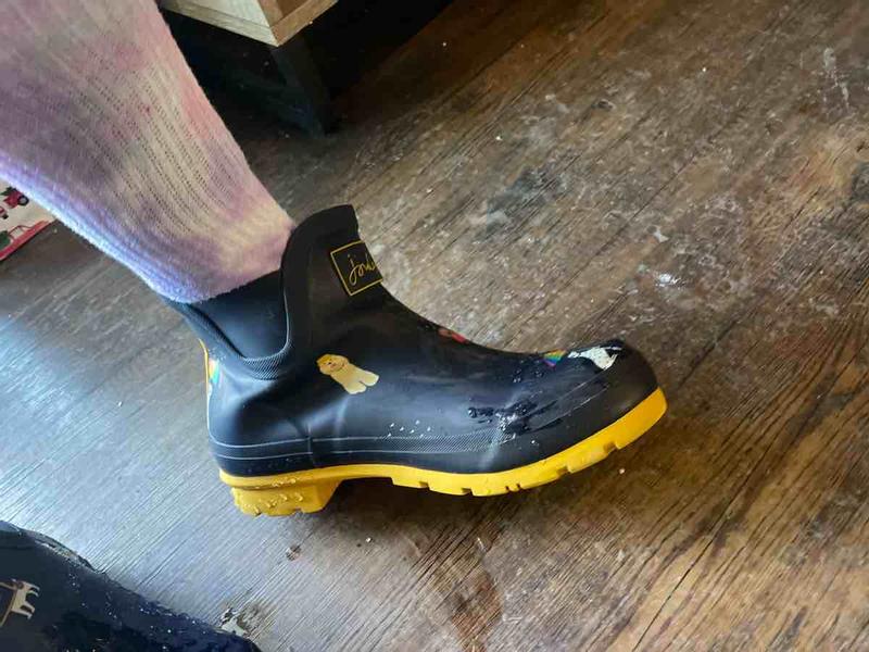 Review Thumbnail Image 0 221974781