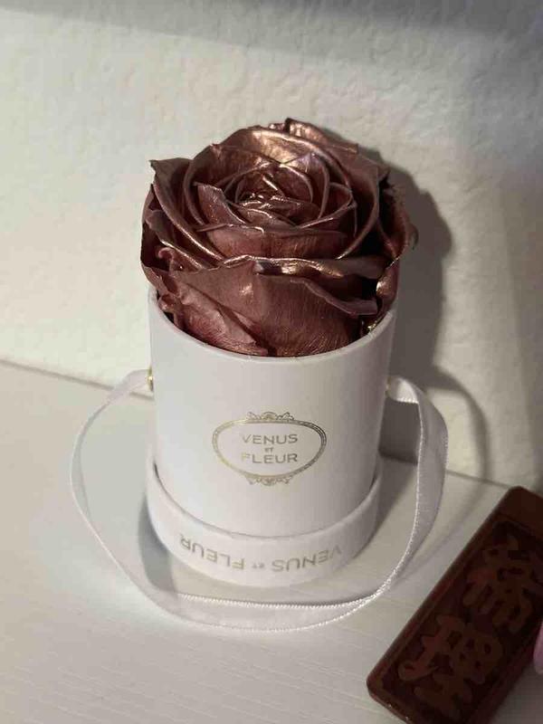 Review Thumbnail Image 0 232054385