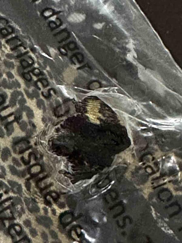 Review Thumbnail Image 1 238986524