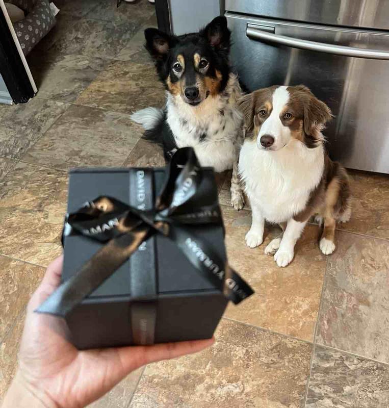 Review Thumbnail Image 0 217173944