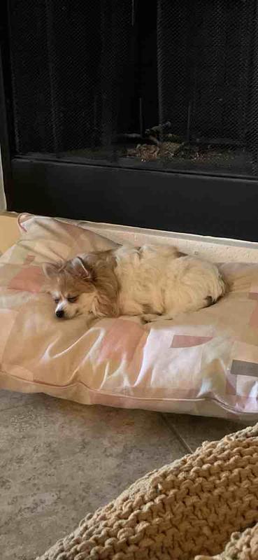 Review Thumbnail Image 0 216097622