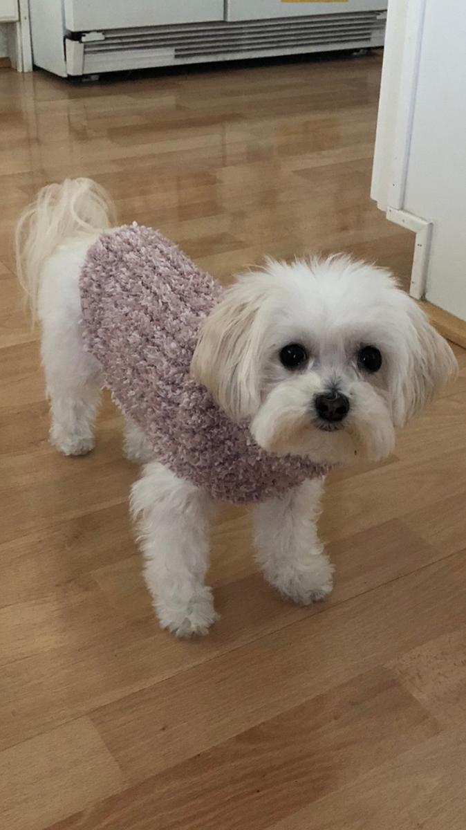 Review Thumbnail Image 0 193690394