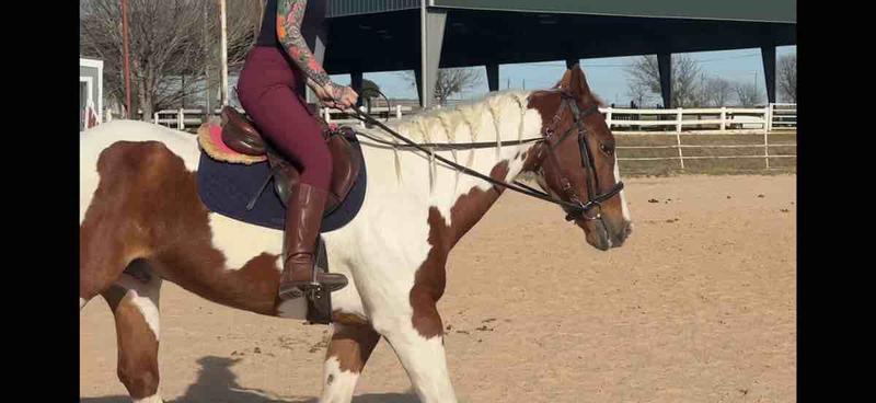 Review Thumbnail Image 0 248402023