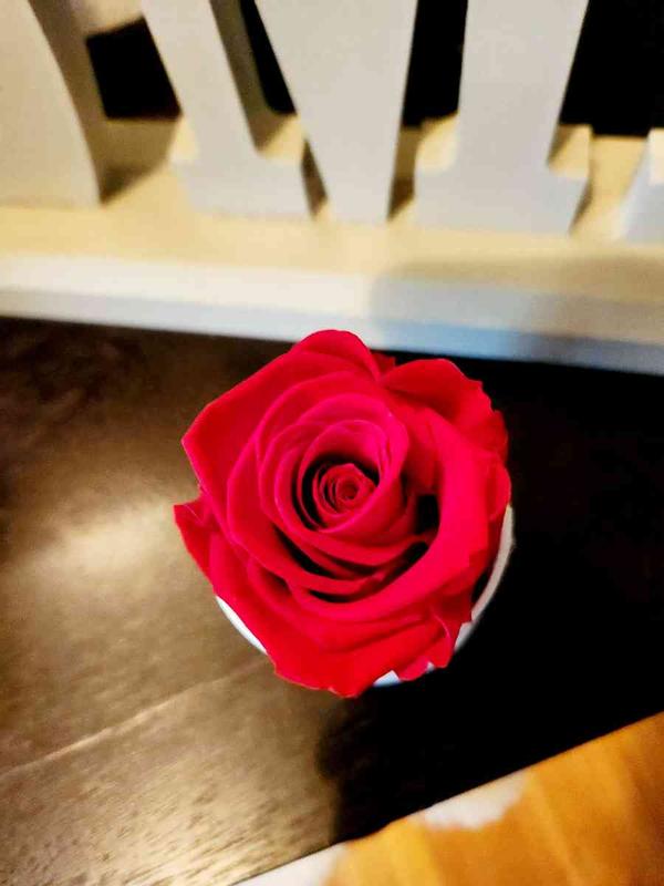 Review Thumbnail Image 1 222790599