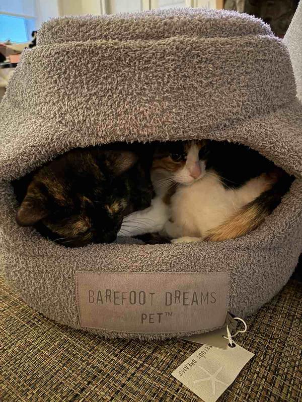 Review Thumbnail Image 0 237398940