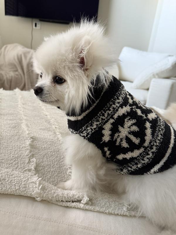 Review Thumbnail Image 0 237845026