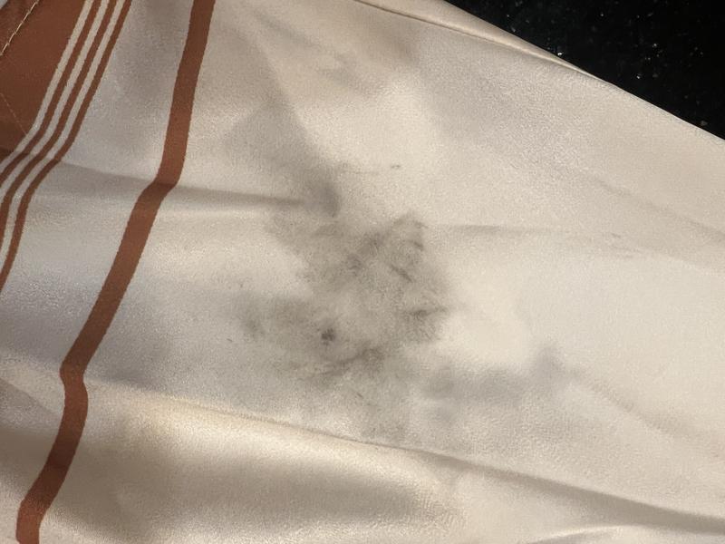 Review Thumbnail Image 3 244030750