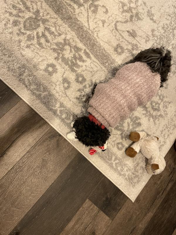 Barefoot dreams does it for  my pet Elvis