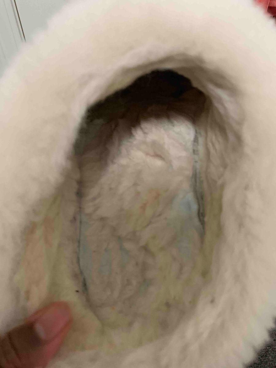 Review Thumbnail Image 0 191412426