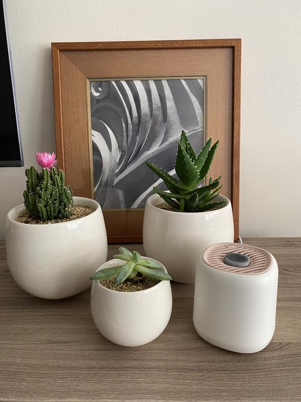 Review Thumbnail Image 0 218734641