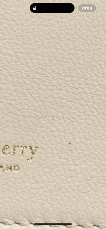 Review Thumbnail Image 0 241206025