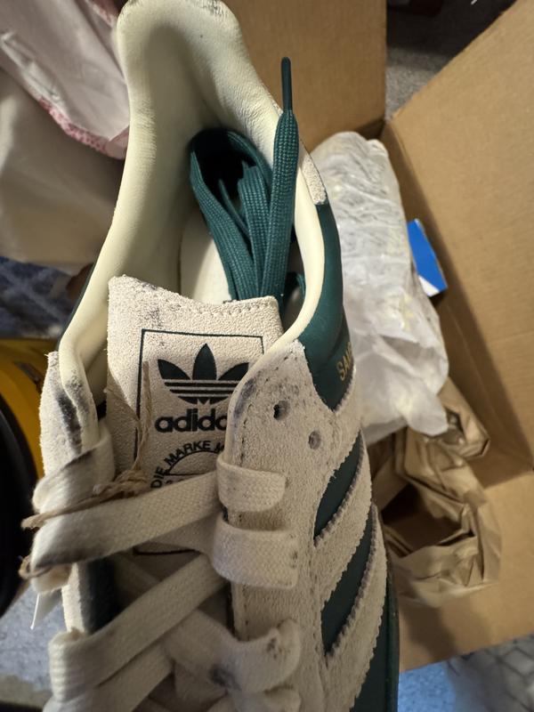 Review Thumbnail Image 3 241104358