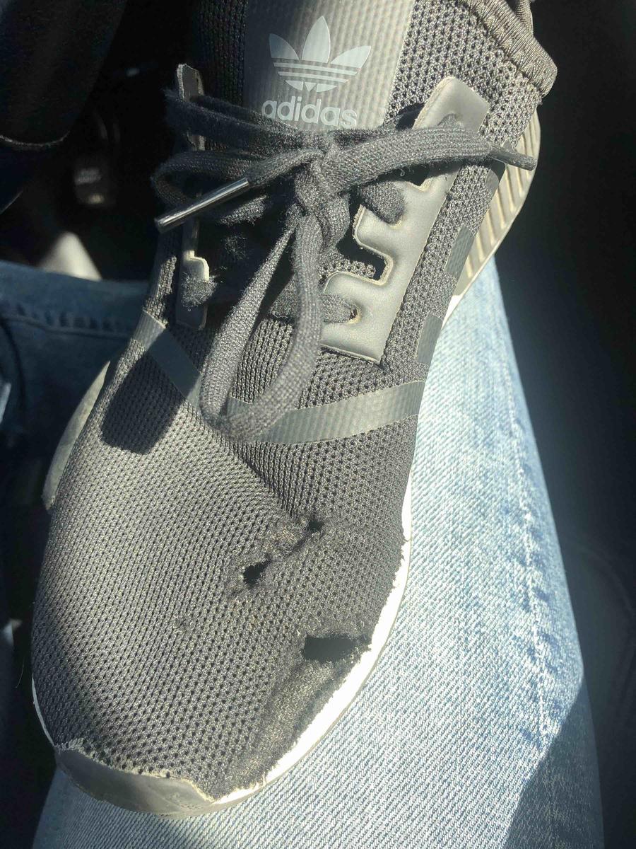 Review Thumbnail Image 0 204232571