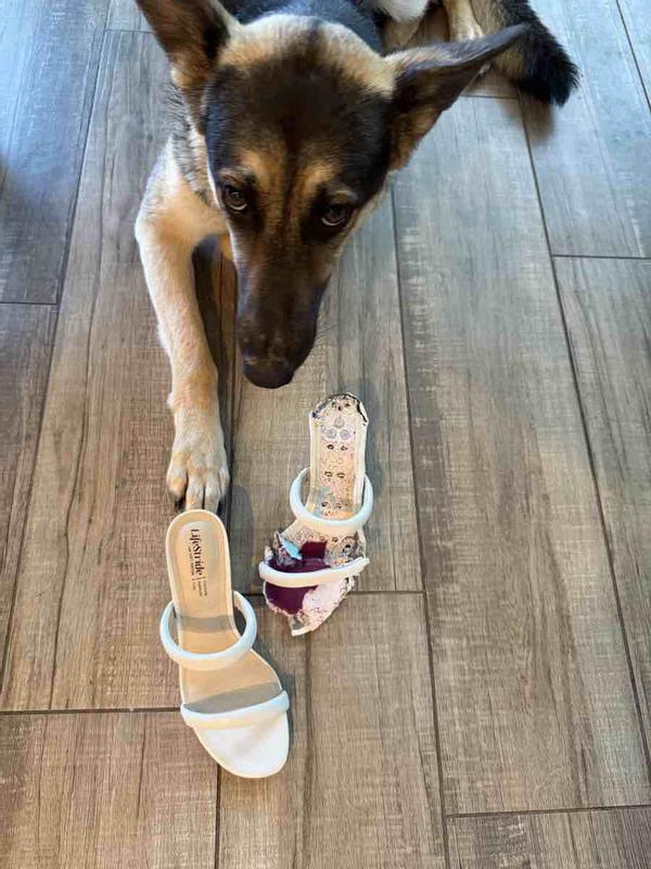 Review Thumbnail Image 0 241860038