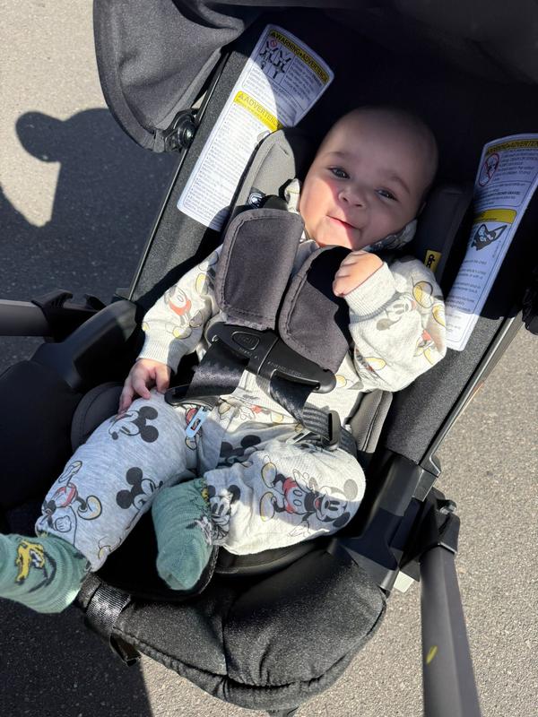 Customer photo for "Stroller"