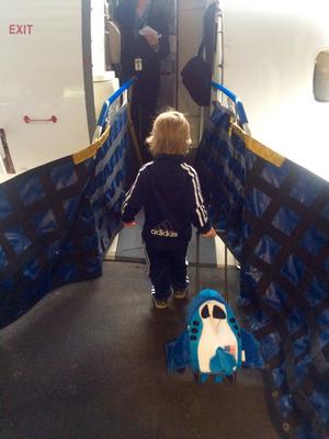 Review Thumbnail Image 0 135606020