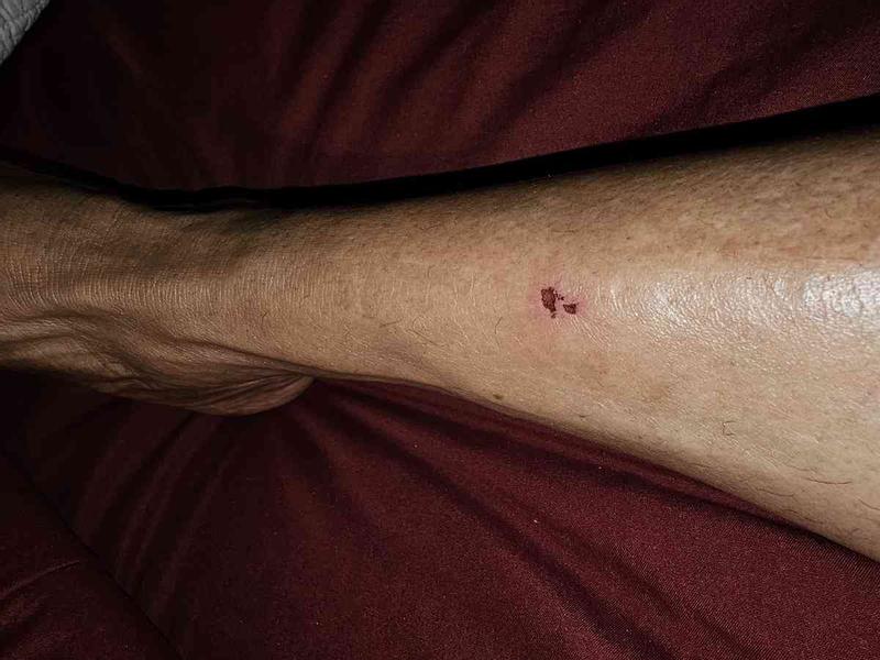 Review Thumbnail Image 4 240748970