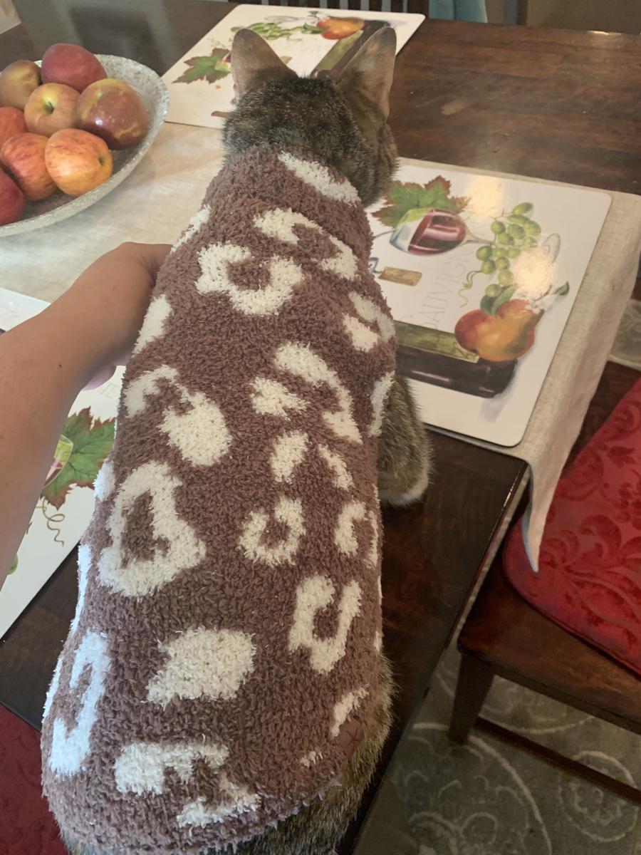 Review Thumbnail Image 0 209516687