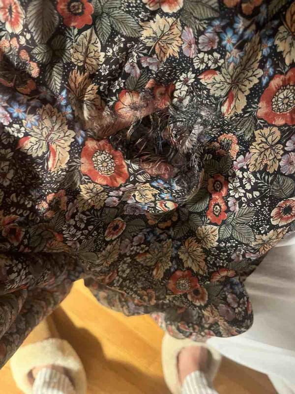 Review Thumbnail Image 0 245737068