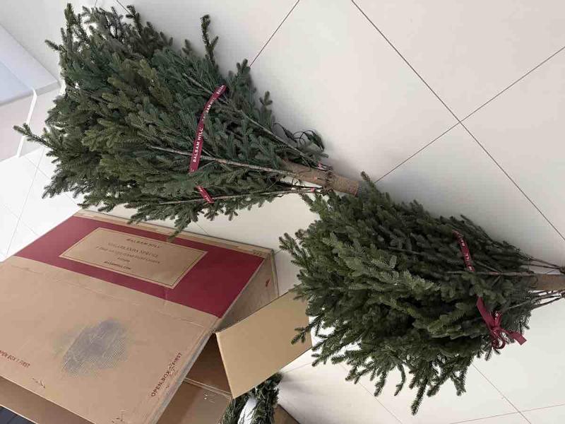 Review Thumbnail Image 2 245423440