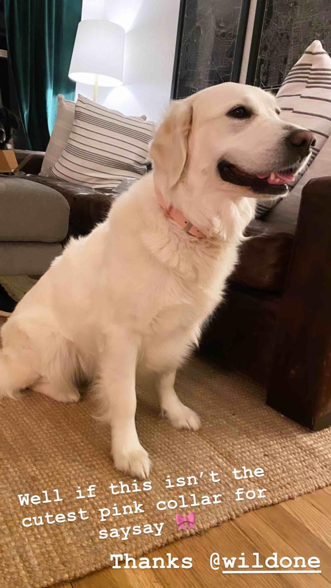 Review Thumbnail Image 0 194990359