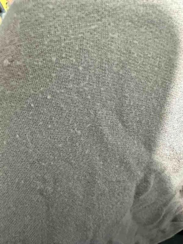 Review Thumbnail Image 1 238982371