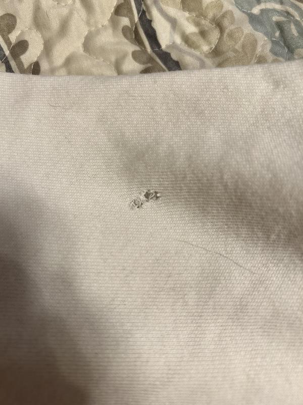 Review Thumbnail Image 0 239831838