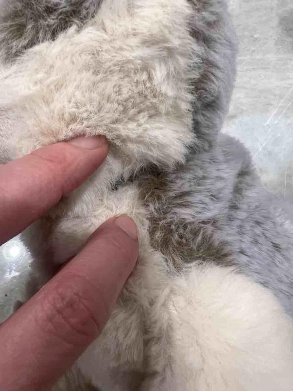 Review Thumbnail Image 0 246981407