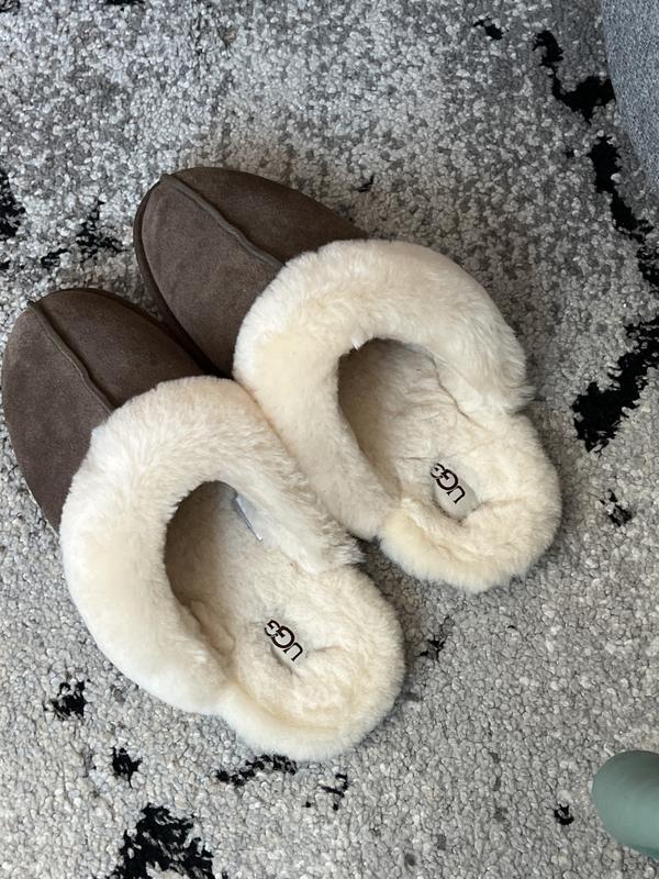Customer photo for "Amazing house slippers"